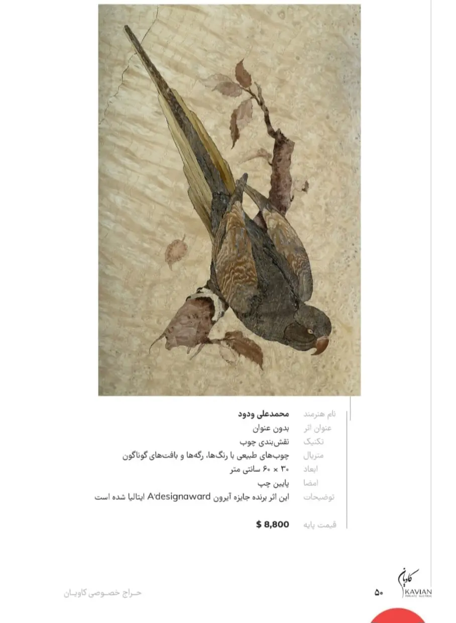 محمدعلی ودود
