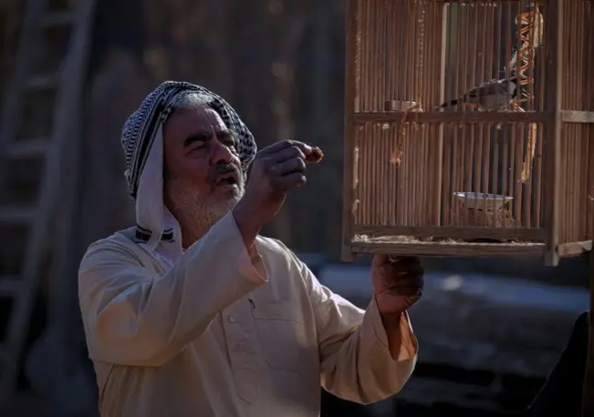 سعید آقاخانی