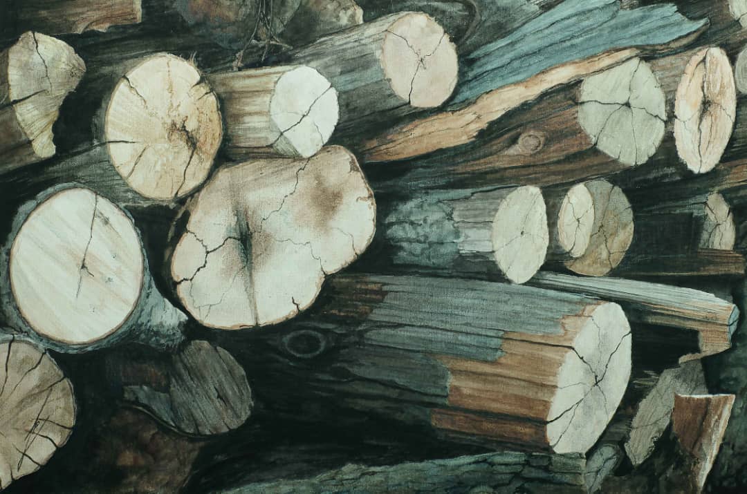 عارف گرانمایه 