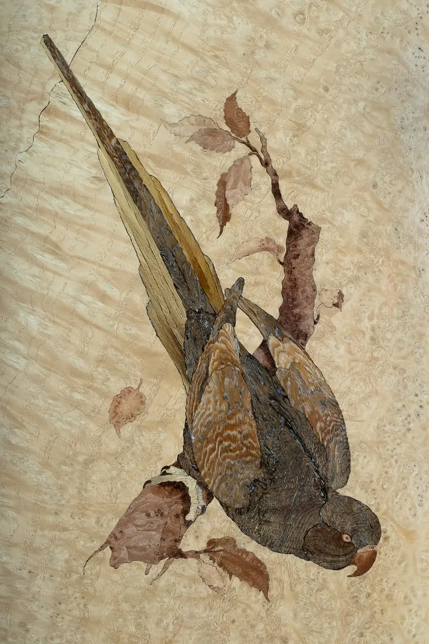 محمدعلی ودود