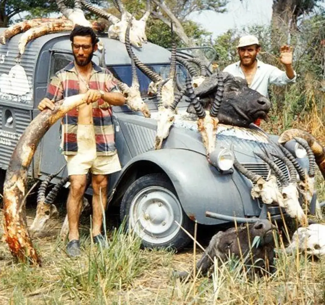 عیسی امیدوار