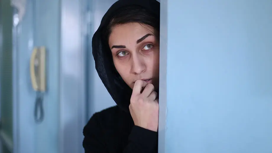 Mirkarimi, 2 Iran Movies at Tokyo Int’l Film Festival