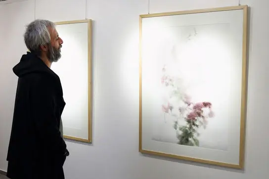 گالری مژده. بابک حقی