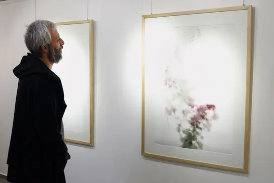 گالری مژده. بابک حقی