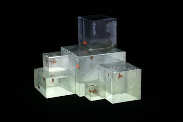 آثار چیدمان دهمین جشنواره تجسمی فجر در موسسه فرهنگی هنری صبا