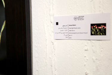 نمایشگاه عکس آرمان مولوی در گالری سیحون 2