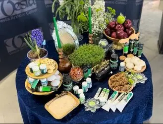 سبزهای وستا در شکوه هفت سین ۱۴۰۴