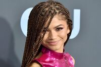 زندایا در جوایز امی ۲۰۲۰ تاریخ‌ساز شد/ درخشش سریال‌های "نگهبانان" و "شیتز کریگ"