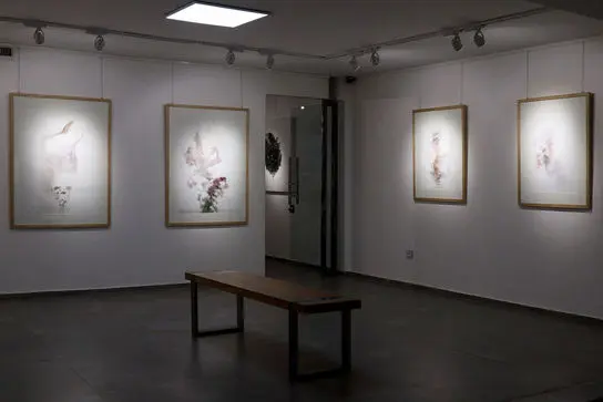 گالری مژده. بابک حقی