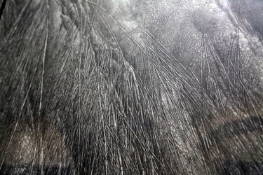 نمایشگاه نقاشی‌های نفیسه صدیقی با عنوان "دریافت" در گالری اثر