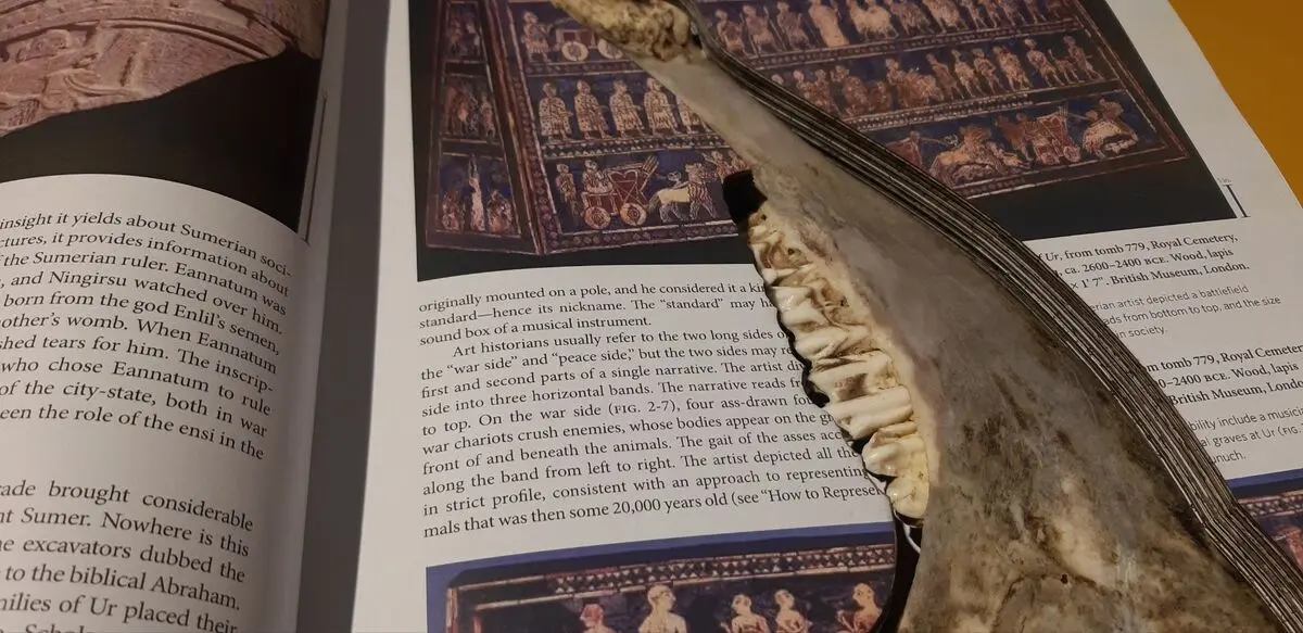 مازادها اثر کریم اله خانی در گالری بهار خانه هنرمندان