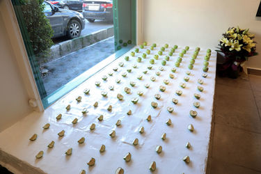 نمایشگاه عکس پدرام لسانی و اسرا مدنی در گالری گلستان