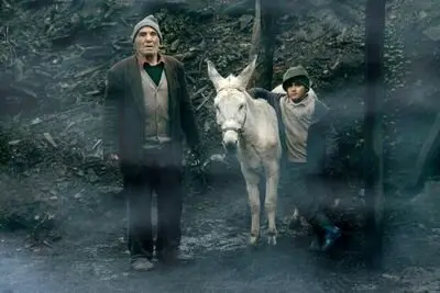 Cinema Donkey to Open Bengaluru Filmfest. in India