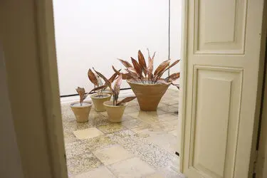 نمایشگاه آثار فرناز ربیعی‌جاه در گالری این جا