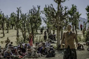Iranian Kurds get 25% discount on “Walnut Tree” 