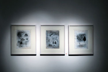 نمایشگاه نقاشی هما خسروی در گالری طراحان آزاد