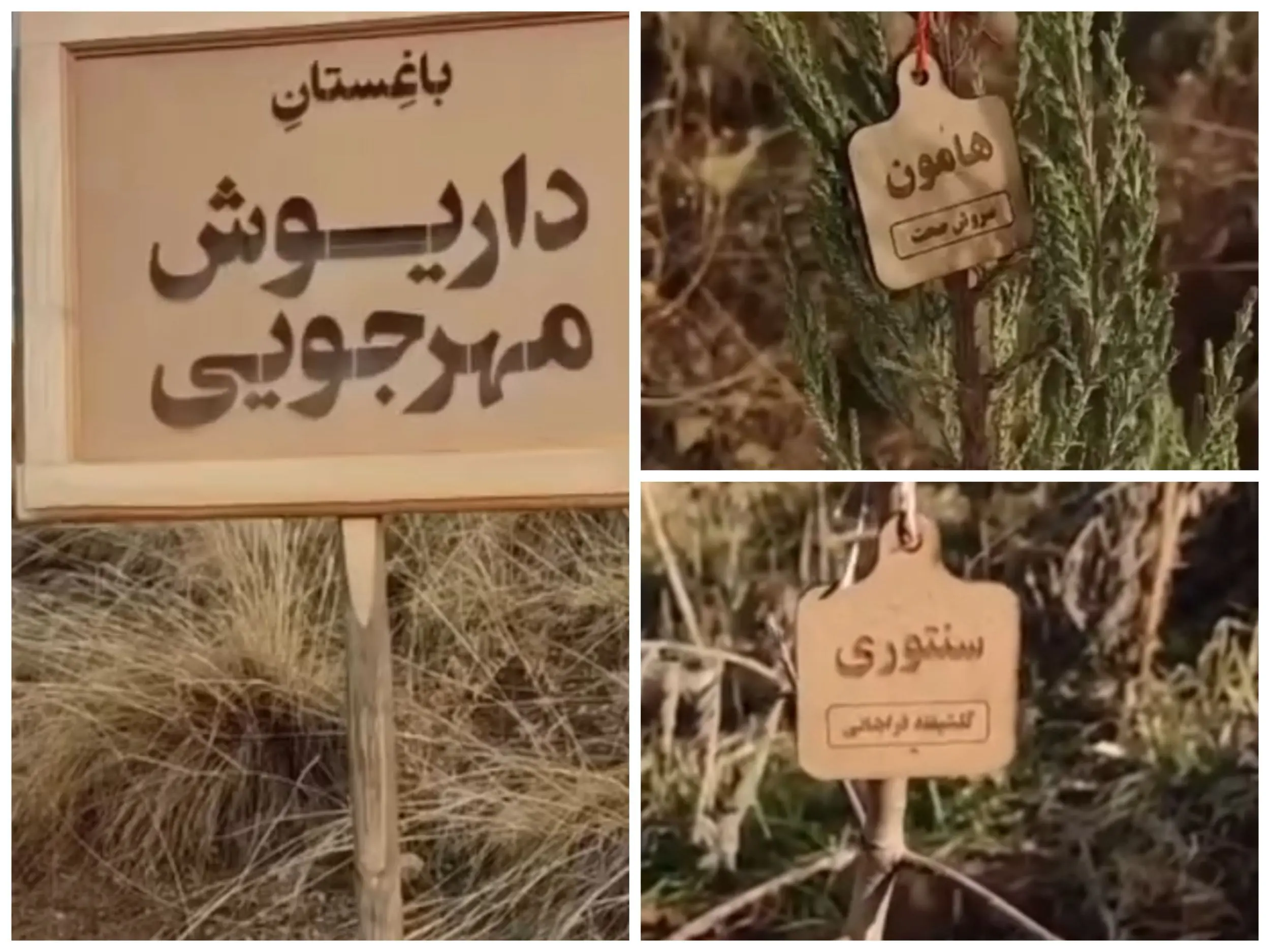 ببینید: افتتاح باغستان داریوش مهرجویی