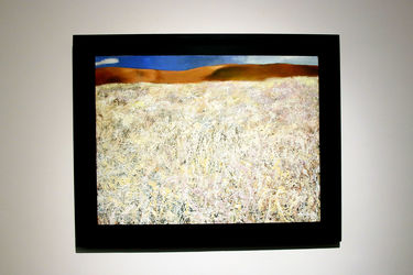 نمایشگاه نقاشی کریم نصر در گالری هور