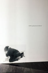 نمایشگاه آثار محمدرضا قربانی در گالری عصر