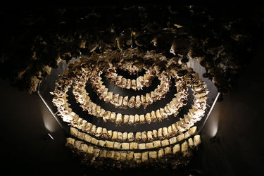 نمایشگاه آثار برگزیدگان دومین فراخوان جایزه سالانه پروژه‌های محسن