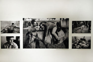 هفتمین نمایشگاه جایزه عکس شید در خانه هنرمندان