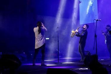 پنجمین شب سی و پنجمین جشنواره موسیقی فجر - امیرعباس گلاب