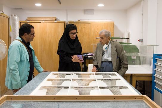 حشرات در موزه هنرهای معاصر تهران