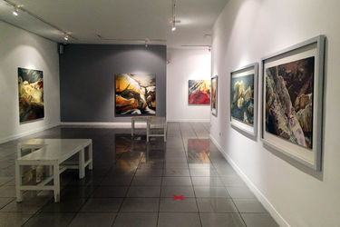 نمایشگاه نقاشی آتش شاه کرمی در گالری ویستا