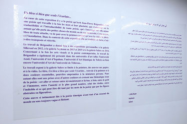 نمایشگاه نقاشی و ویدئو ژان پیر بریگودیو در گالری ثالث