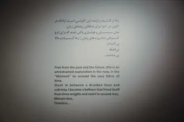 نمایشگاه آثار سولماز لینهارد در گالری آریانا