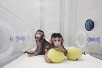 ببینید: آثار هنرمندانه‌ی فتوژورنالیست‌ها با چاشنی جنگ و اضطراب