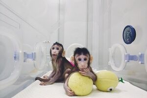 ببینید: آثار هنرمندانه‌ی فتوژورنالیست‌ها با چاشنی جنگ و اضطراب