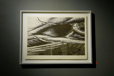 نمایشگاه عکس حنا میرجانیان و شاهین اسفندیاری در گالری راه ابریشم