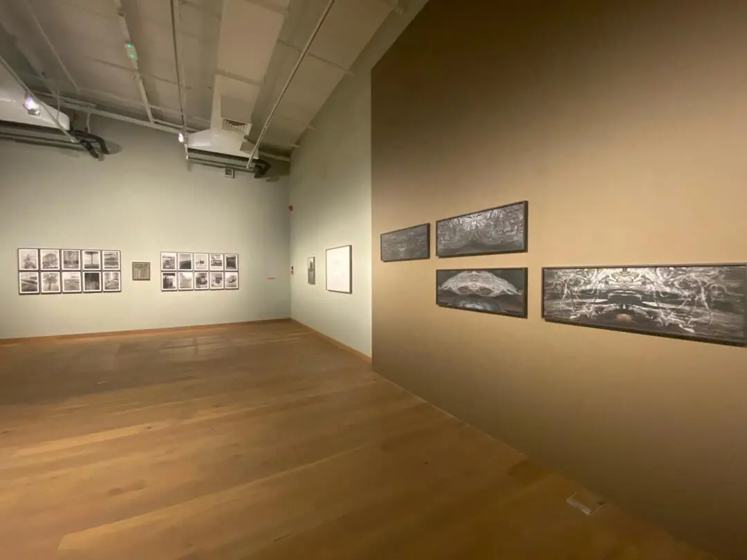 بنیاد هنر ایشارا Ishara Art Foundation | گائوری گیل Gauri Gill