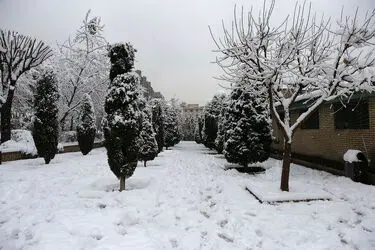 صبح برفی تهران