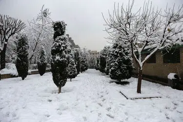 صبح برفی تهران