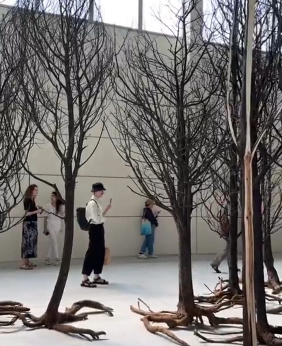 Sharjah Biennial 15 is curated by Hoor Al Qasimi / visit Dr. Sultan bin Muhammad Al-Qasimi