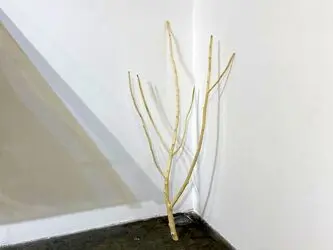 Jamal Tayara Baroudy with 'Ways of Seeing' at Tashkeel Studio