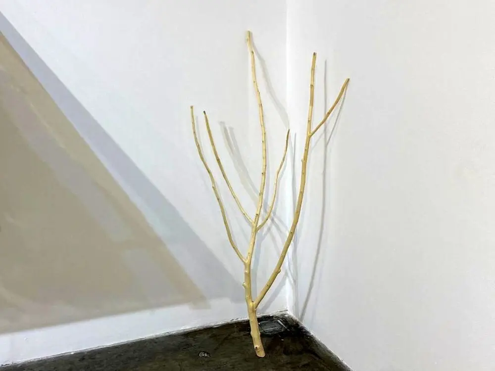 Jamal Tayara Baroudy with 'Ways of Seeing' at Tashkeel Studio