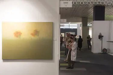 دومین "تیرآرت" در پردیس چارسو