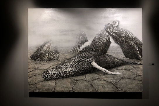 نمایشگاه آثار بهار دیدگاه در گالری ایده 