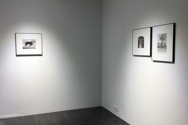 نمایشگاه آثار محمدرضا قربانی در گالری عصر