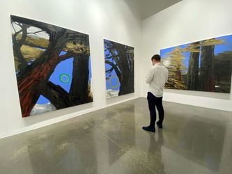 نمایشگاه نبیل نحاس در لاوری شبیبی / Nabil Nahas at Lawrie Shabibi