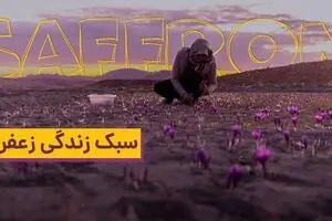 “Saffron Based Lifestyle”, “Shoe” honored at Ukraine Happy Future Scripts Film Festival