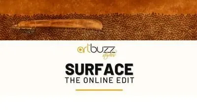 Works by  2 Iranian photographers on view at "Surface artbuzz" exhibit
