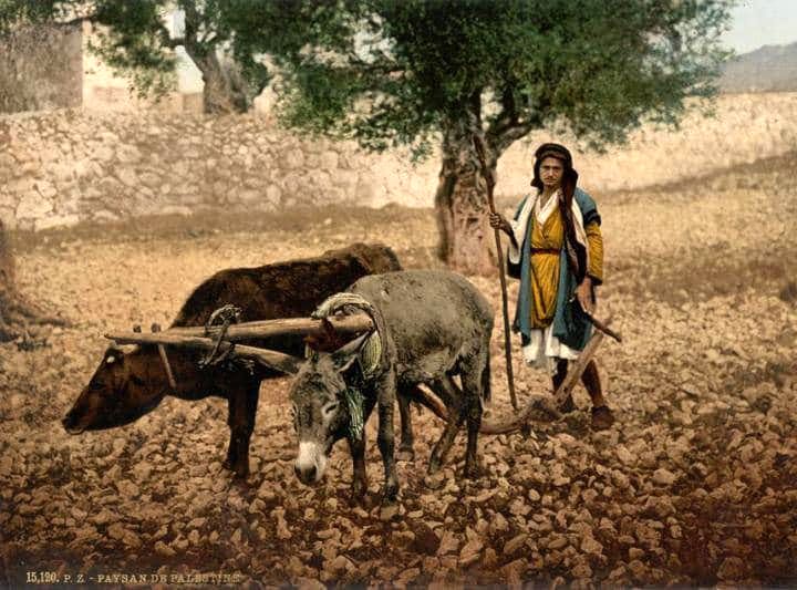 گزارش تصویری جالب «تلگراف» از خاورمیانه 1890/نخستین عکس‌های رنگی تاریخ از خاورمیانه را اینجا ببینید