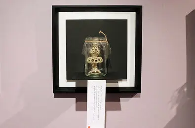 Vista Gallery Hosts Art Show by Maryam Kouhestani