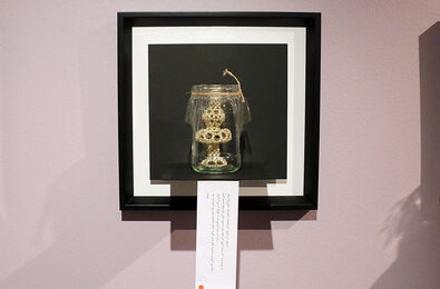 Vista Gallery Hosts Art Show by Maryam Kouhestani