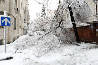 صبح برفی تهران