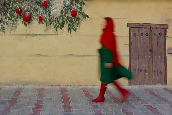 بانو ایرانی مدال طلا گرفت؛  آقا نایب مدال نقره / عکاسان ایرانی در داگر خوش درخشیدند